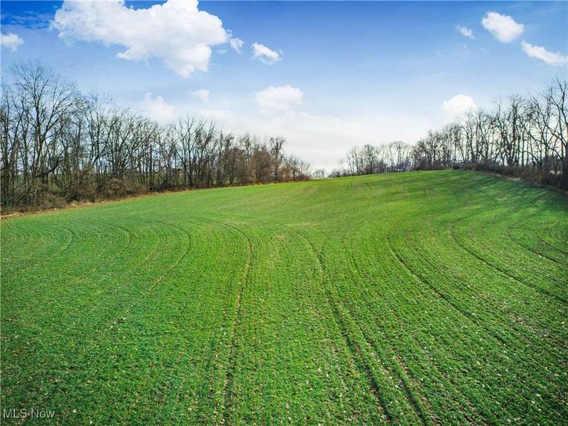 Carnation Road, Nashport, OH 43830 Photo 10