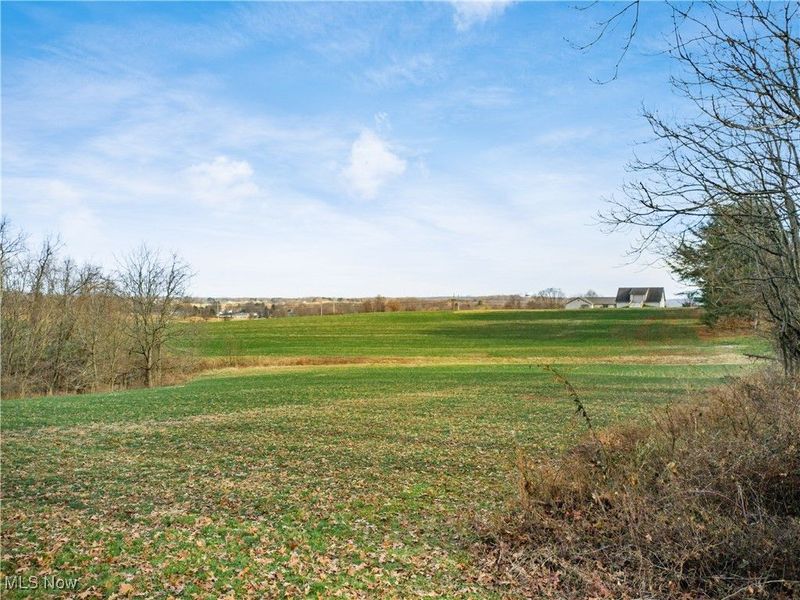 Carnation Road, Nashport, OH 43830 Photo 5