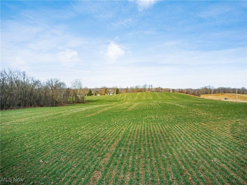 Carnation Road, Nashport, OH 43830 Photo 6