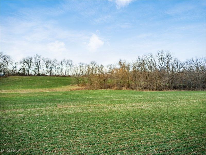 Carnation Road, Nashport, OH 43830 Photo 7