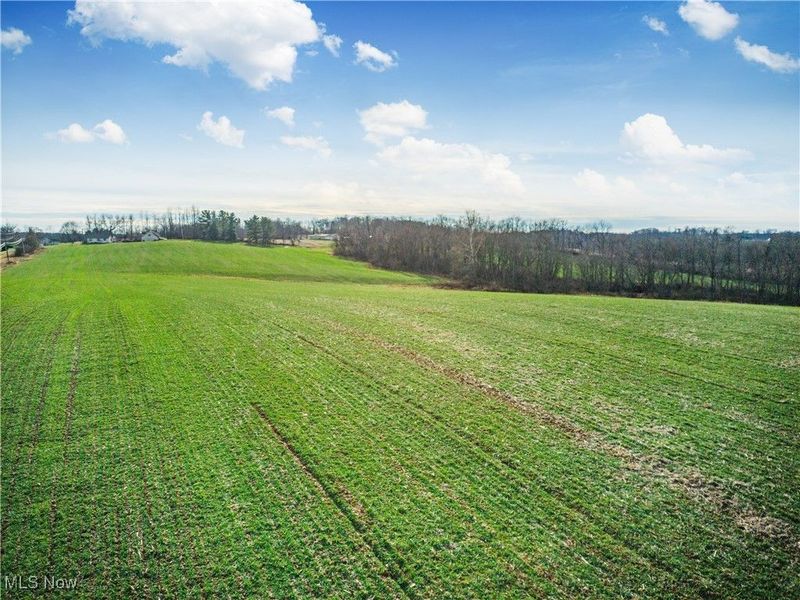 Carnation Road, Nashport, OH 43830 Photo 8