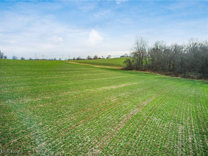 Carnation Road, Nashport, OH 43830 Photo 9