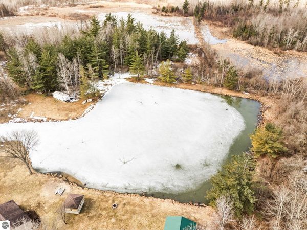 43 River Drive, Merritt, MI 49667