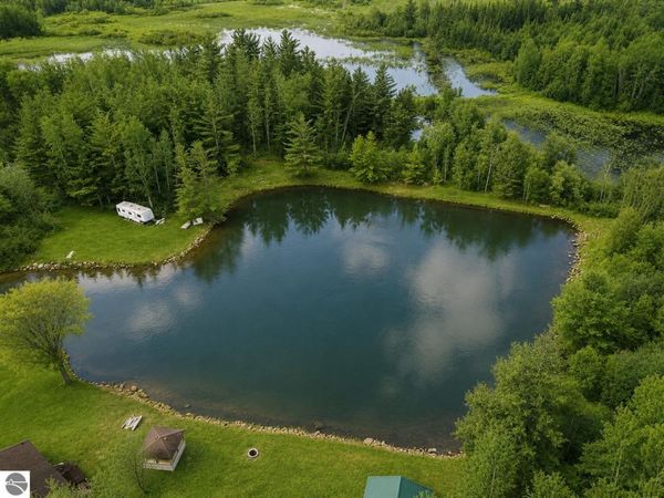 43 River Drive, Merritt, MI 49667