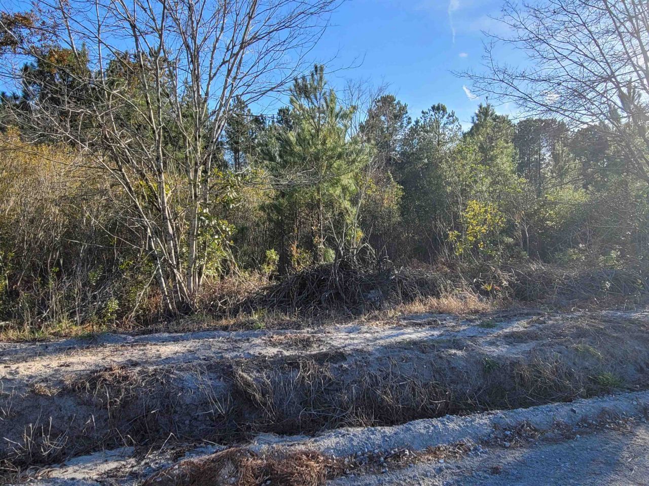 Tbd 1 Log Cabin Rd. Photo 5