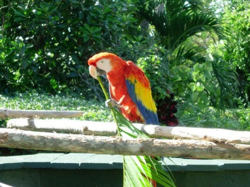 5280 N Ocean Drive, Unit 12- B, Singer Island, FL 33404 Photo