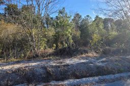 Tbd Log Cabin Rd. photo 4