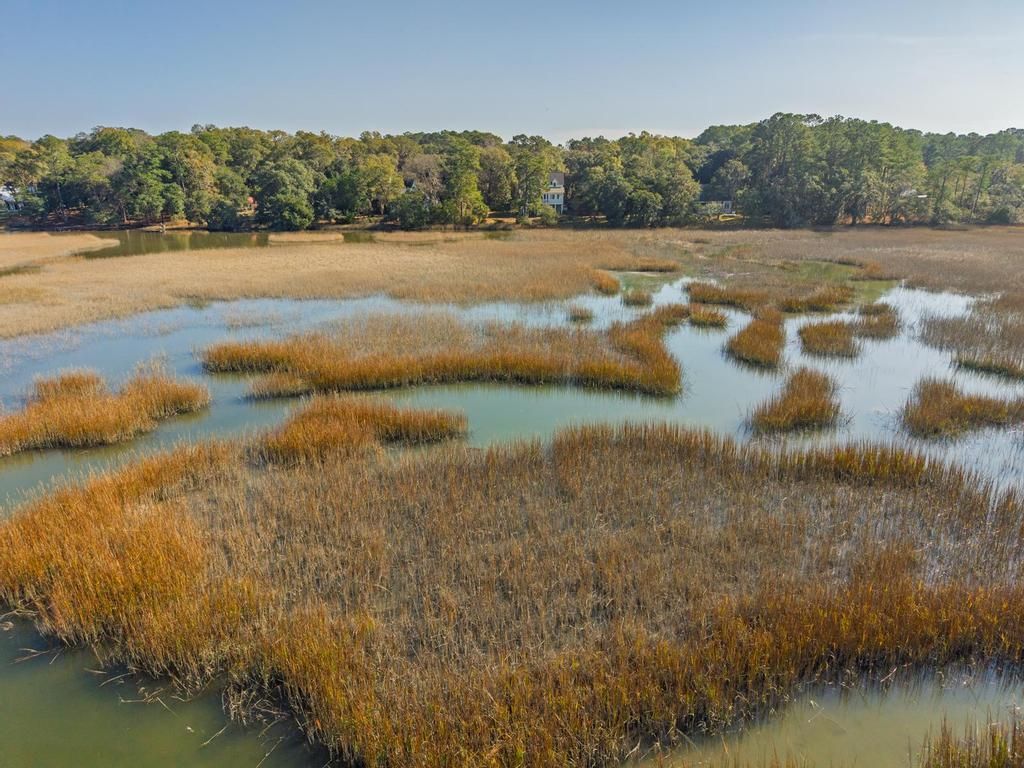 8460 Chisolm Plantation Road Photo 106