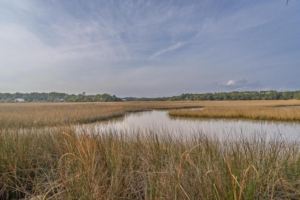 8460 Chisolm Plantation Road Photo 114