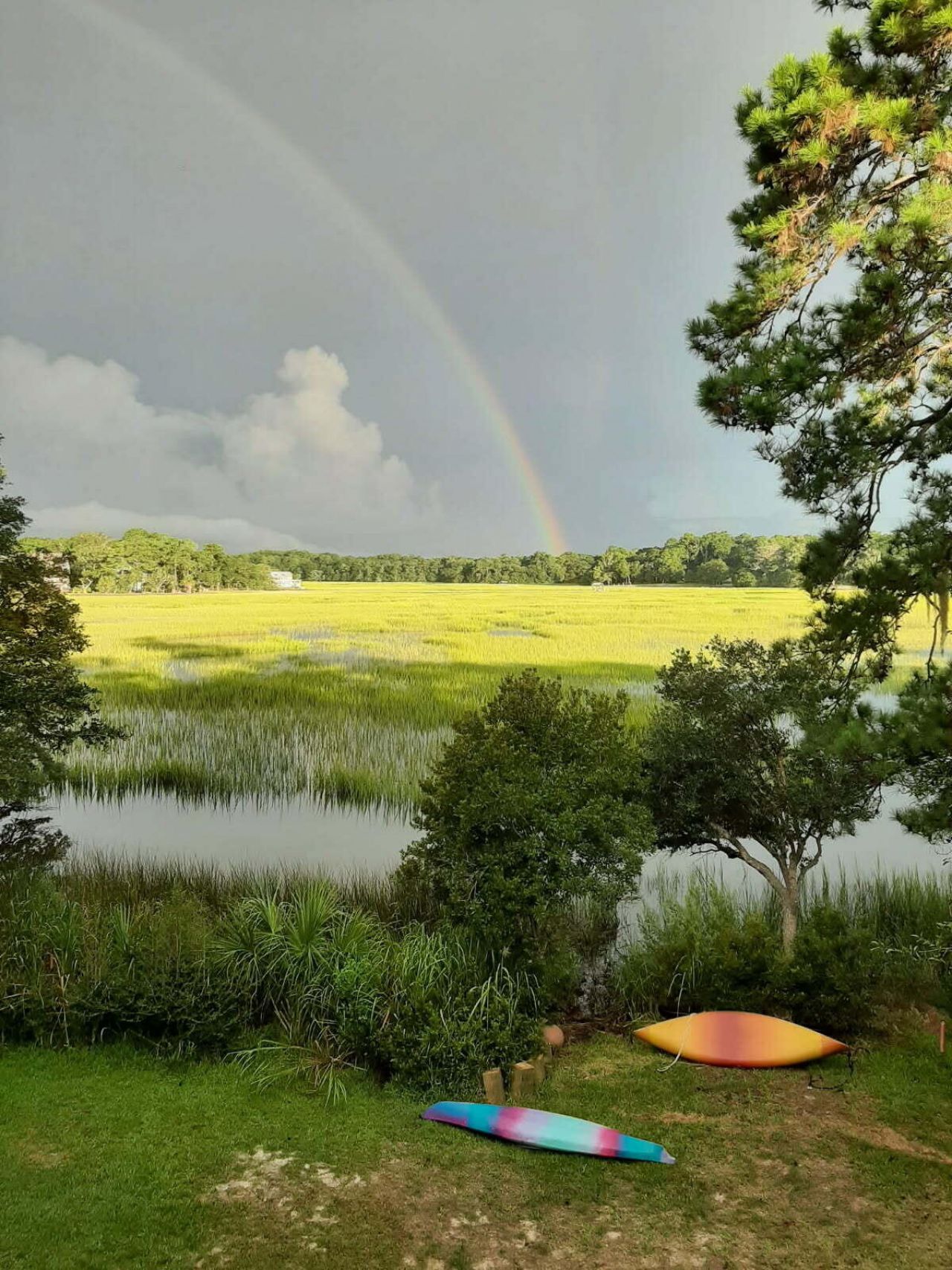 8460 Chisolm Plantation Road Photo 50