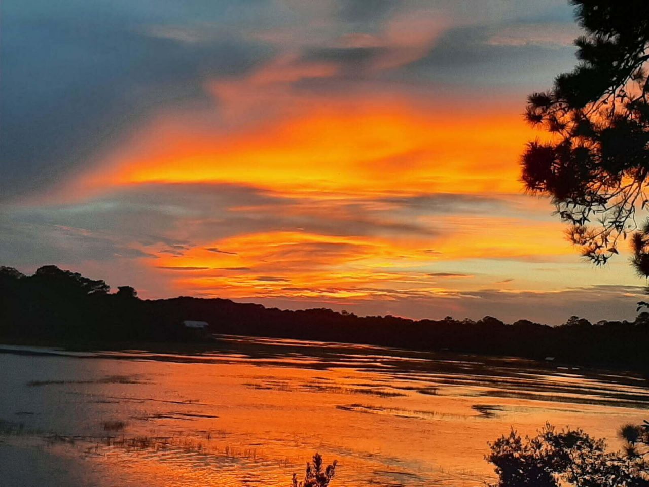 8460 Chisolm Plantation Road Photo 51