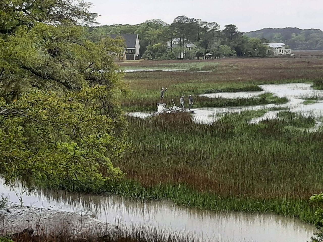 8460 Chisolm Plantation Road Photo 52