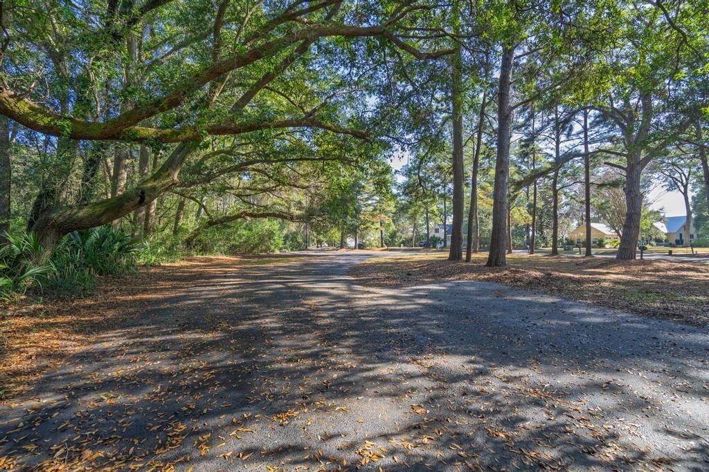 8460 Chisolm Plantation Road Photo 84