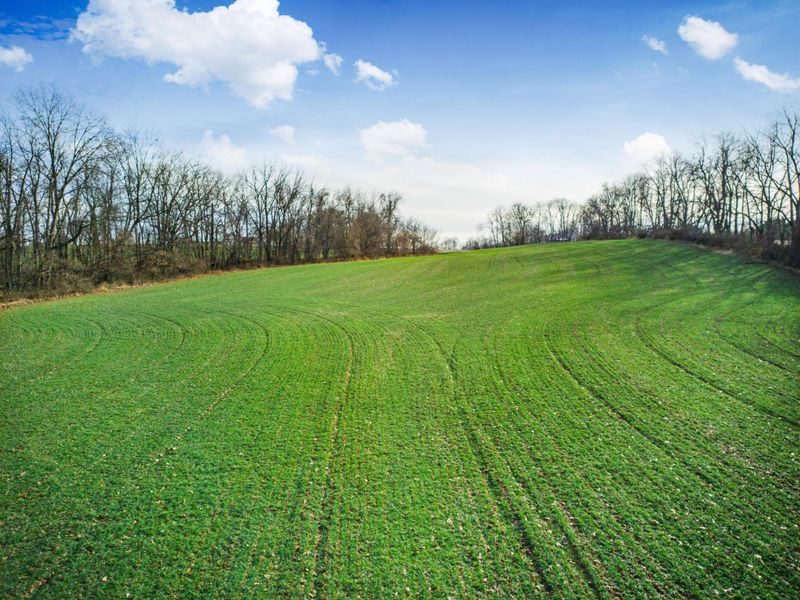 0 Carnation Road , Nashport, OH 43830 Photo 10