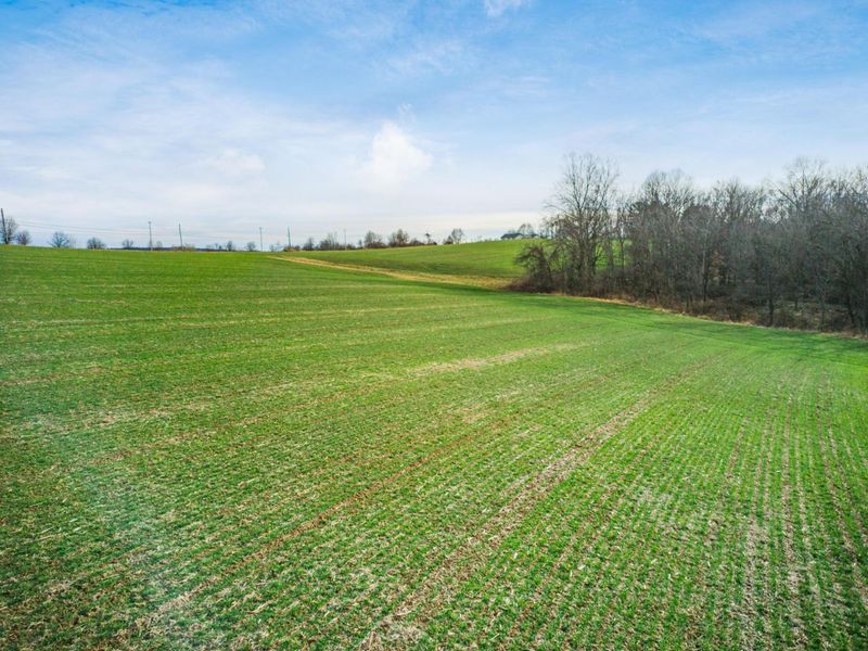 0 Carnation Road , Nashport, OH 43830 Photo 8