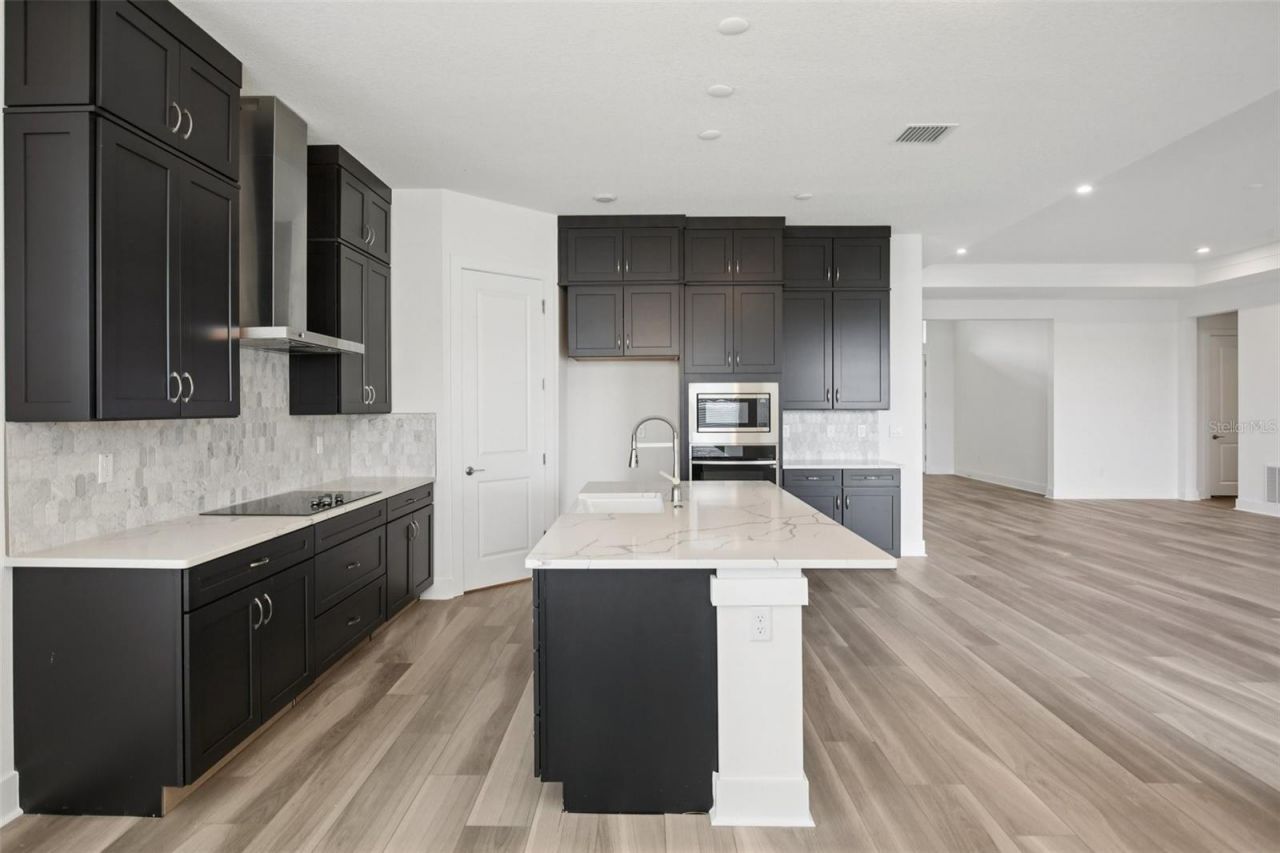 32289 Wetland Bird View, San Antonio, FL 33576 Photo