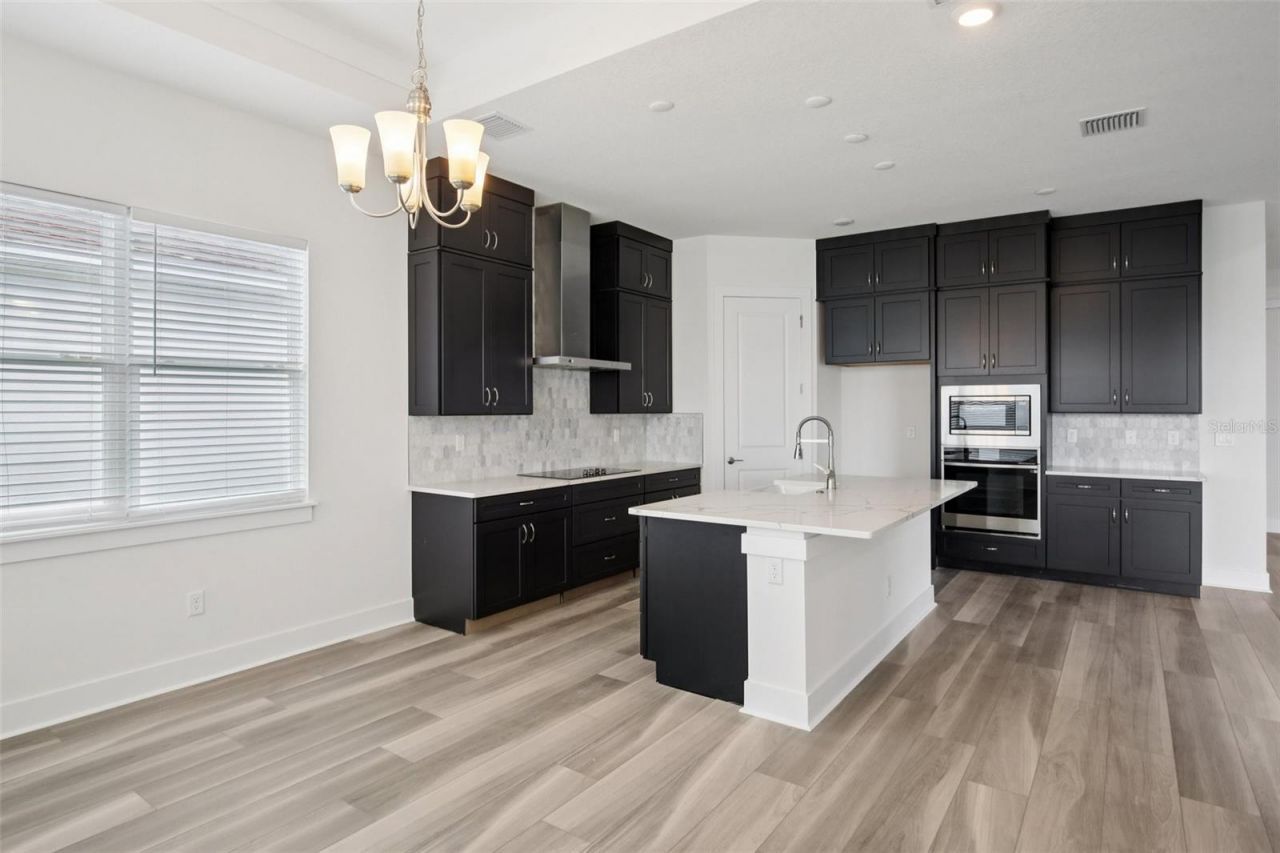 32289 Wetland Bird View, San Antonio, FL 33576 Photo