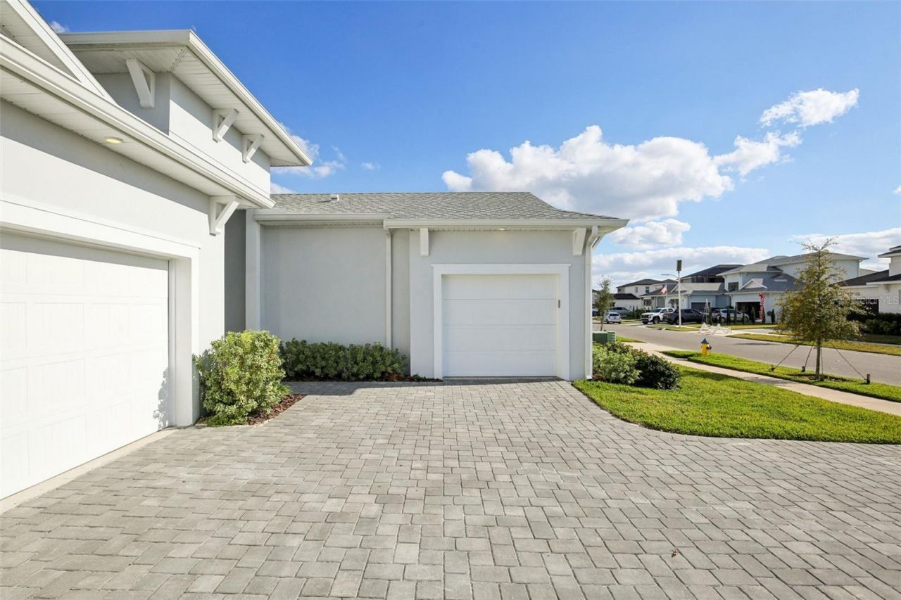 32289 Wetland Bird View, San Antonio, FL 33576 Photo