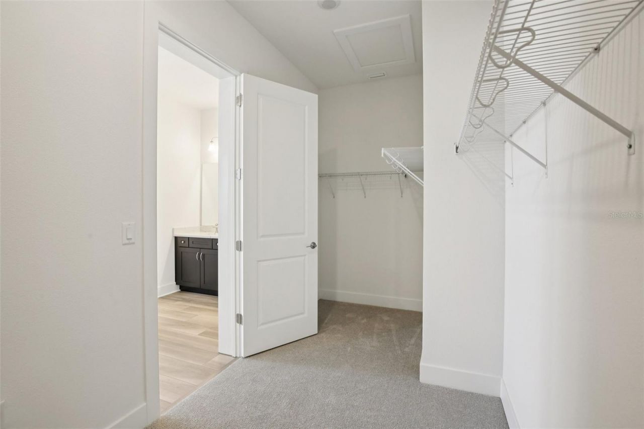 32289 Wetland Bird View, San Antonio, FL 33576 Photo