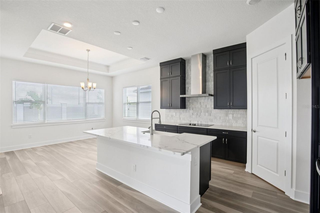 32289 Wetland Bird View, San Antonio, FL 33576 Photo