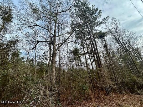 SE Lee Drive, Bogue Chitto, MS 39629