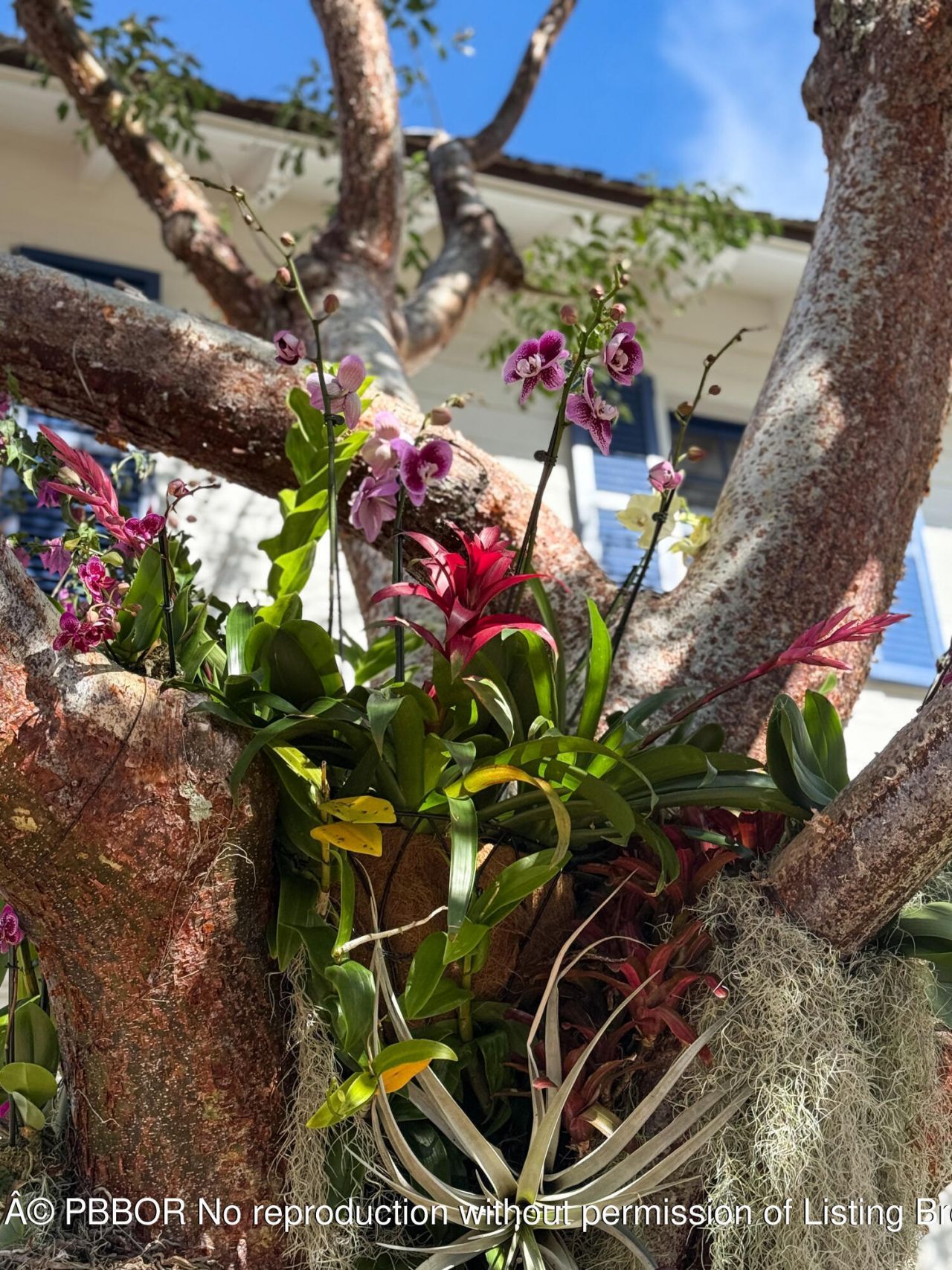 101 Palmetto Lane, West Palm Beach, FL 33405 Photo