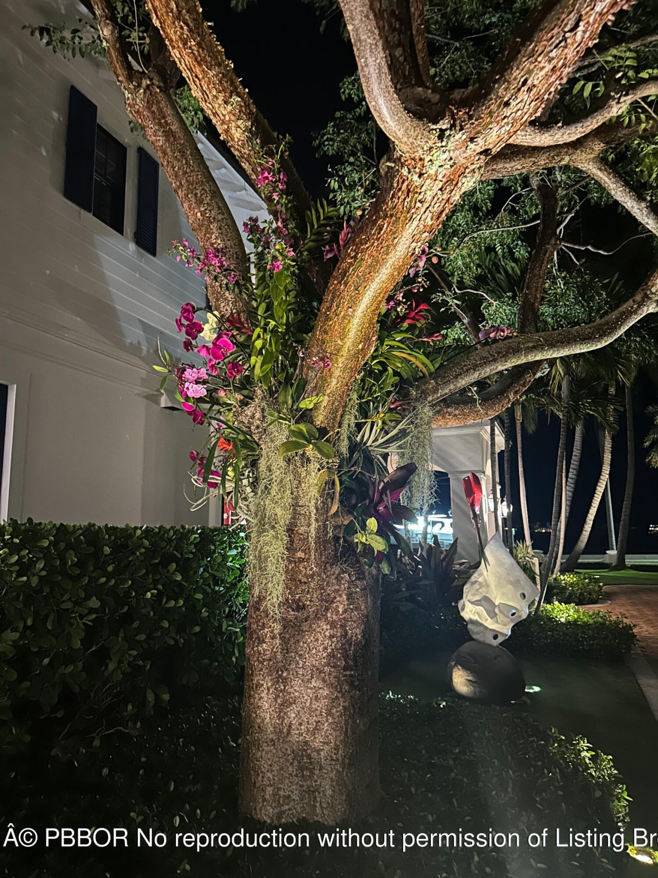 101 Palmetto Lane, West Palm Beach, FL 33405 Photo