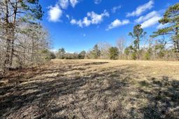 00 Dennis Ridge Road photo 4