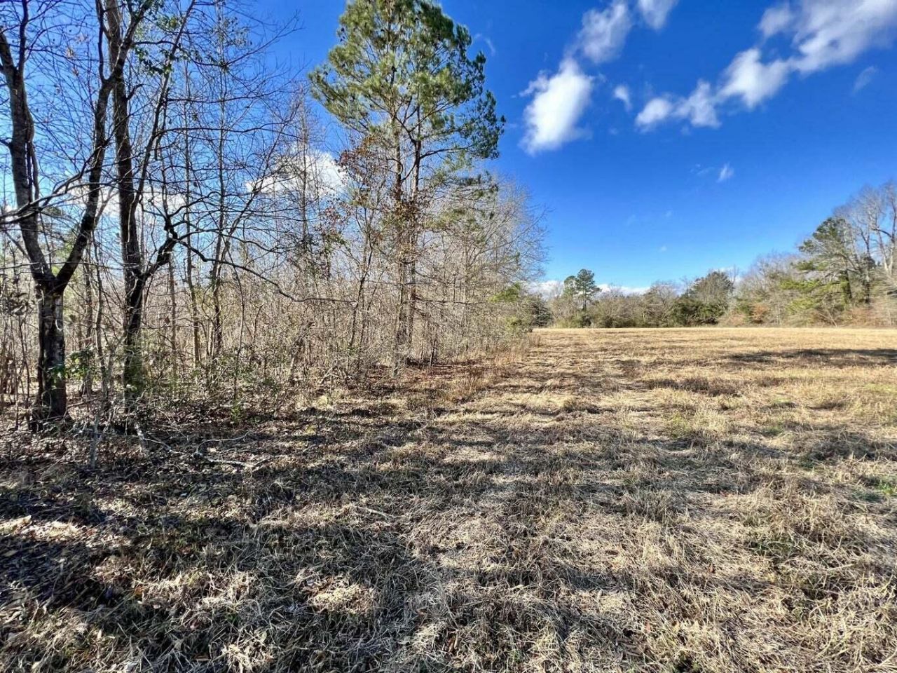 00 Dennis Ridge Road Photo 4