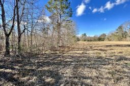 00 Dennis Ridge Road photo 4