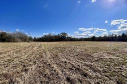 00 Dennis Ridge Road photo 4