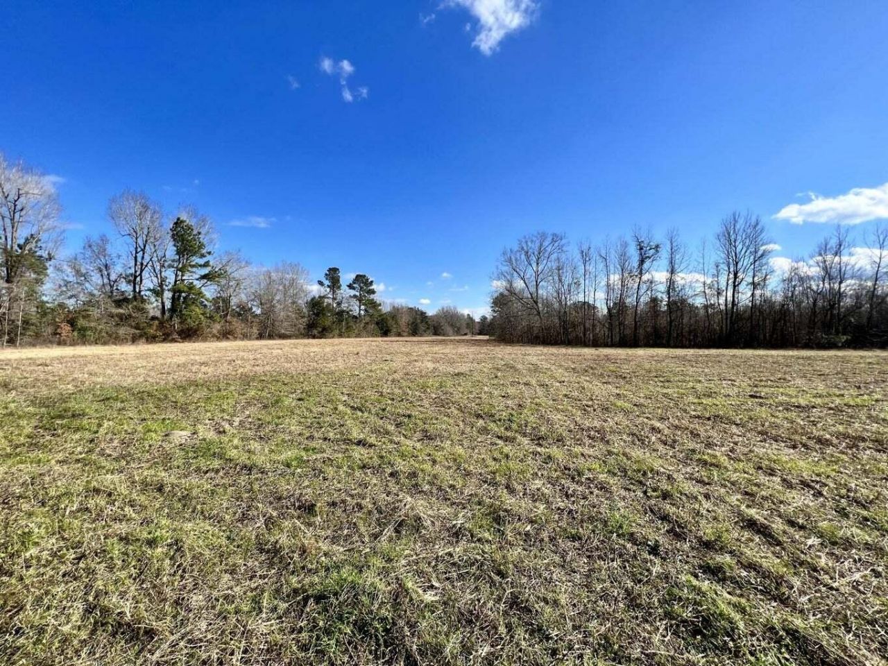 00 Dennis Ridge Road Photo 6