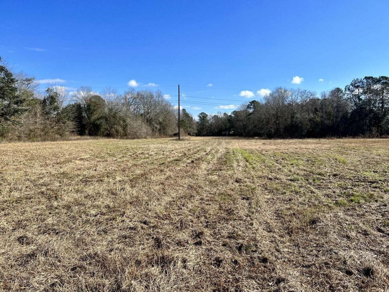 00 Dennis Ridge Road Photo 7