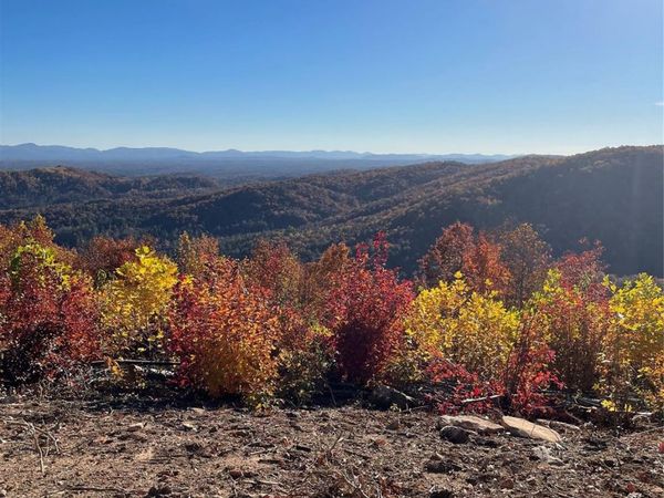 TBD N Blackberry Ridge Drive , McGrady, NC 28659