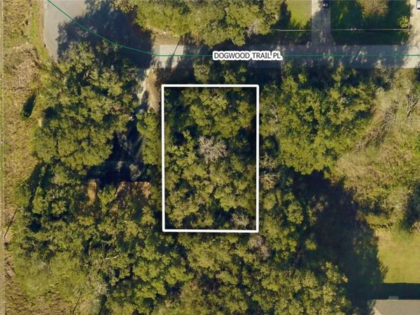 TBD DOGWOOD TRAIL PLACE, OCALA, FL 34472