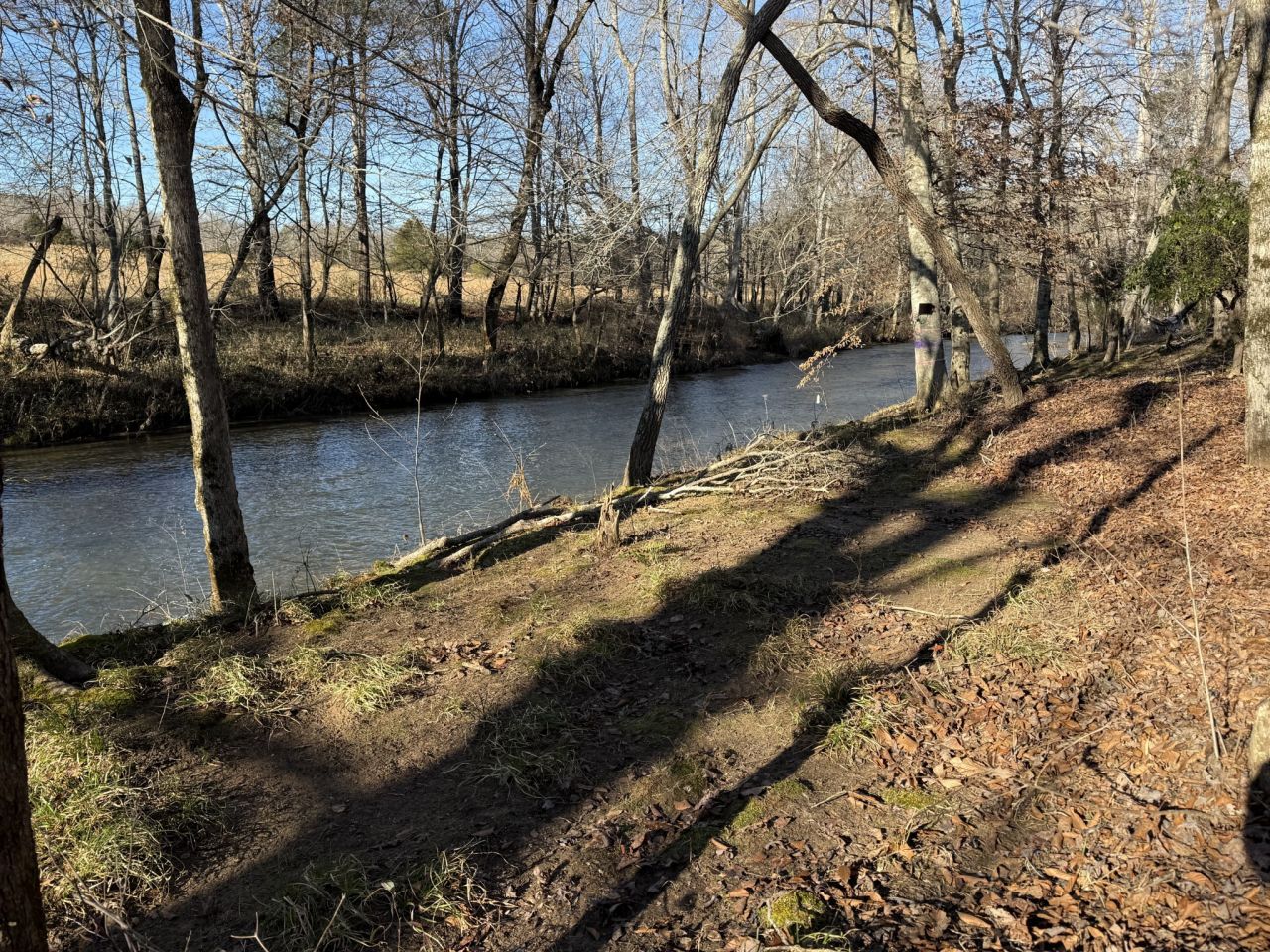 196 Griner Rd, Hohenwald, TN 38462 Main Photo