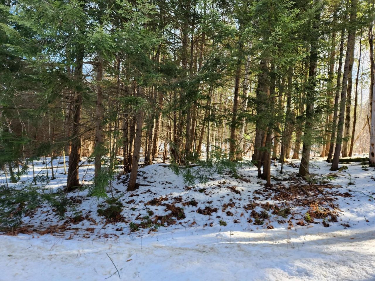1 Munsey Hill Road, Lot #123-10-7, Gilmanton, NH 03237 Main Photo
