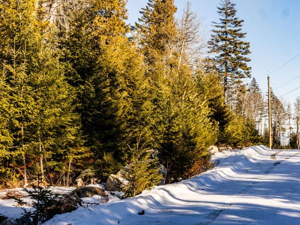 Lot 10 4R2 Pine Cone Lane , Surry, ME 04684