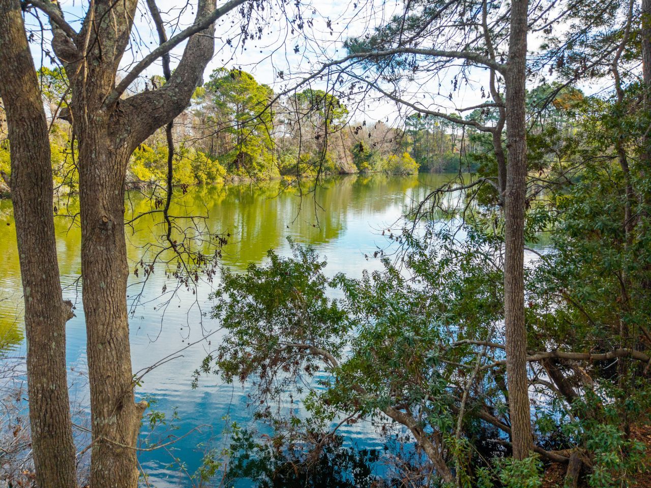 109 Jakes Lane Photo 42