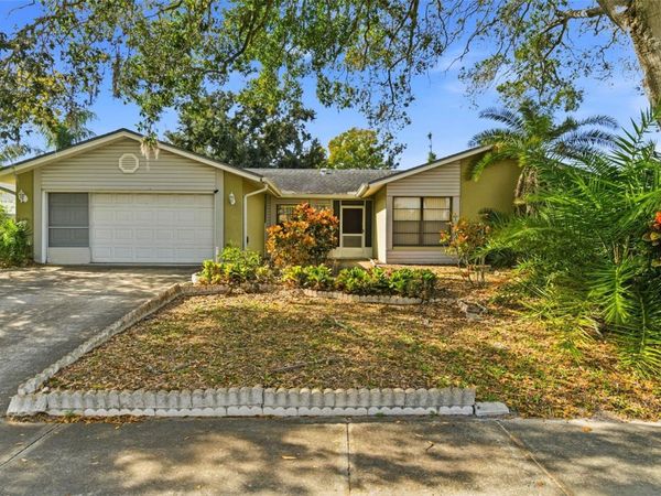 15606 FARNSWORTH LANE, TAMPA, FL 33624