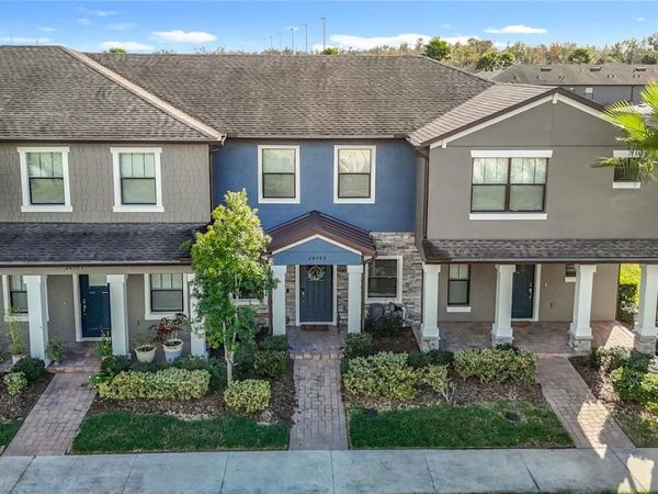 28599 TRANQUIL LAKE CIRCLE, WESLEY CHAPEL, FL 33543