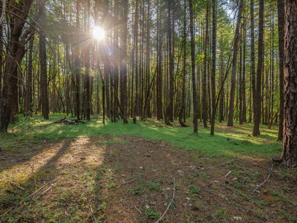 355 Firview Lane, Wilderville, OR 97543