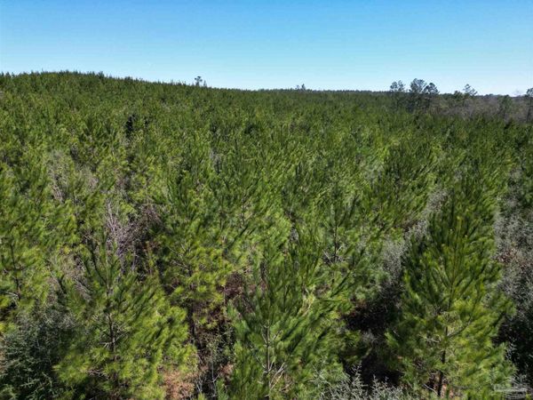 4 Robinsonville Rd, Atmore, AL 36502