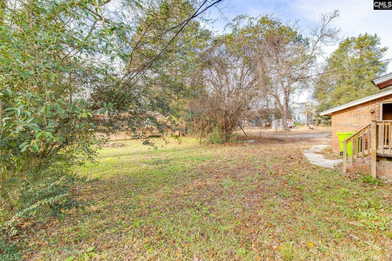 4517 Bluff Road Photo 18