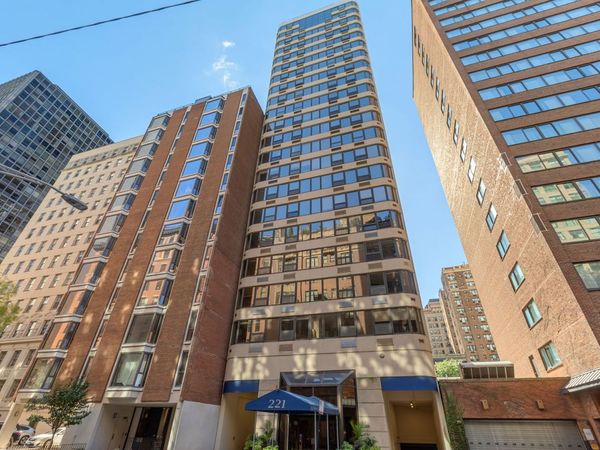 221 E Walton Place, Unit 19E, Chicago, IL 60611