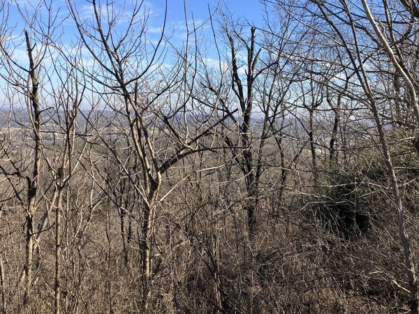 1200 Longstreet Cir, Brentwood, TN 37027