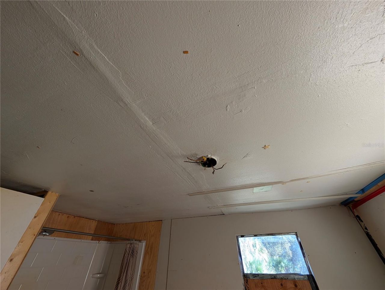 25314 Luke Street, Christmas, FL 32709 Photo