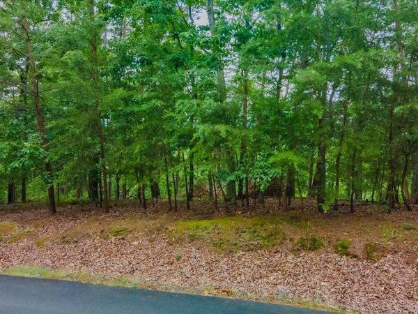 1316 Muskogee Drive, Mooresburg, TN 37811