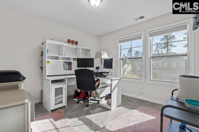 346 Baymont Drive Photo 21