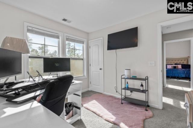 346 Baymont Drive Photo 22